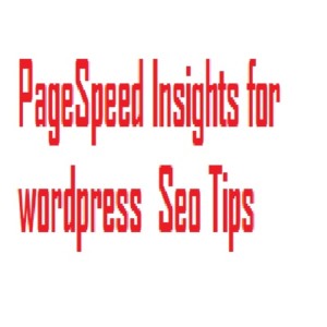 PageSpeed Insights for wordpress