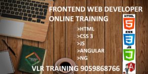 Frontend web developer online training
