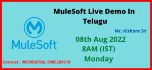 MiuleSOft Demo In Telugu