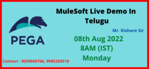 _MiuleSOft Demo In Telugu image