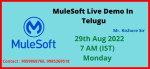 MuleSoft Live Demo In Telugu