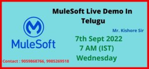 _ MuleSoft Demo In Telugu