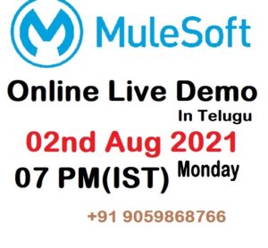 mule esb online live demo
