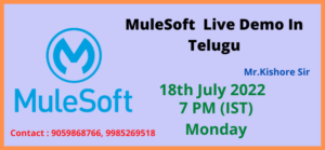 MuleSoft Live Demo In Telugu