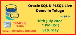 Oracle SQL & PLSQL Recently Completed Demo's