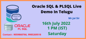 Oracle SQL & PLSQL Live Demo In Telugu