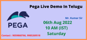 Pega Live Demo In Telugu