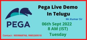 Pega Live Demo in Telugu